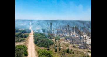 Incêndio atinge parque natural em Arraial do Cabo, no Rio de Janeiro