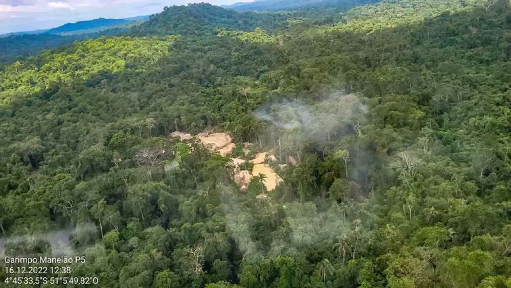 Retirada de invasores de TI do Pará tem prisão e apreensão de madeira