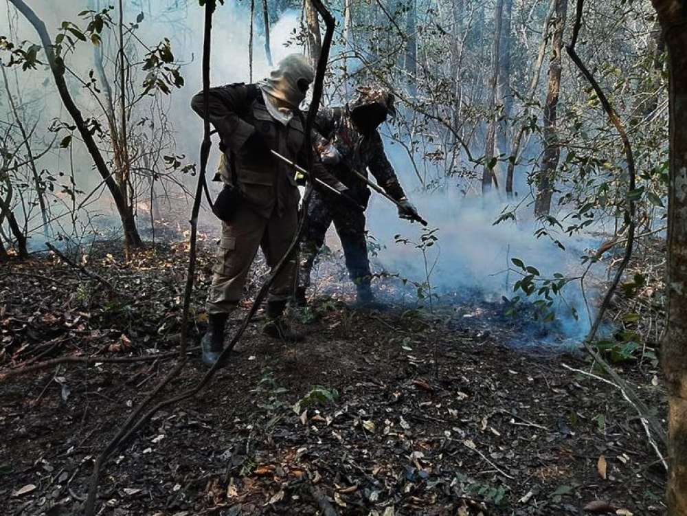 Governo reforça ações de combate ao fogo no Pantanal