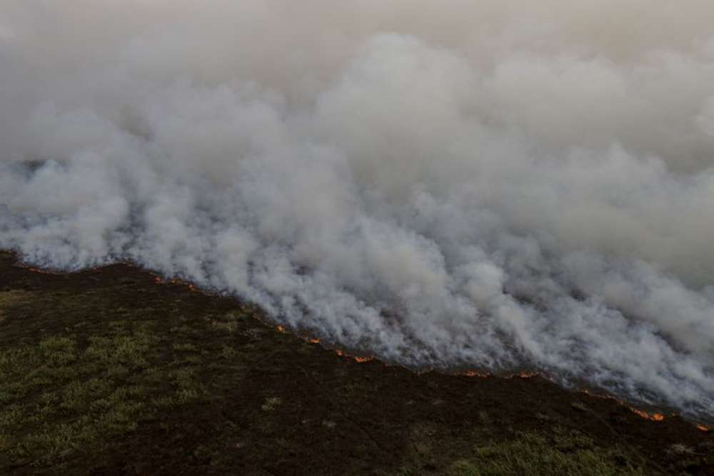 Brigadistas intensificam trabalho de combate a incêndios no Pantanal