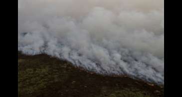 Brigadistas intensificam trabalho de combate a incêndios no Pantanal