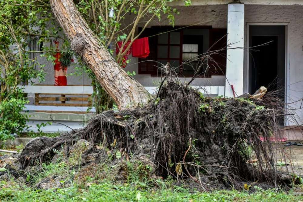 Especialista explica influência da ação humana nos extremos climáticos