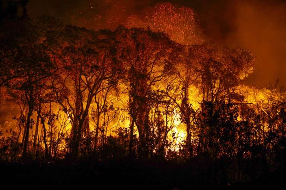 Pantanal tem mais de 3 mil incêndios em novembro; recorde histórico