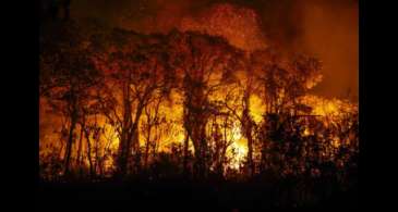 Pantanal tem mais de 3 mil incêndios em novembro; recorde histórico