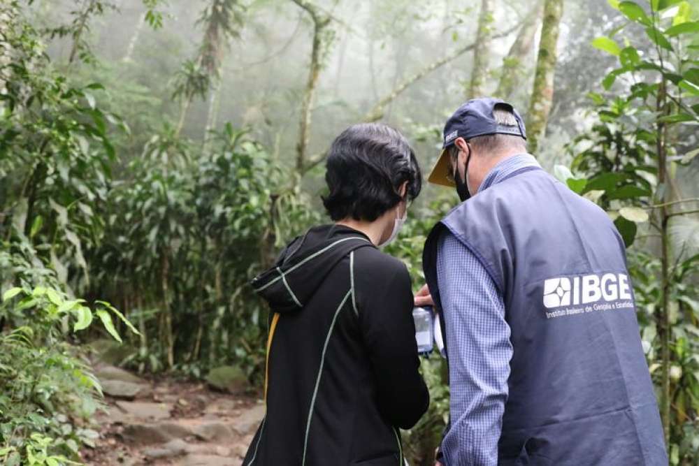 IBGE analisa dados sobre a biodiversidade brasileira