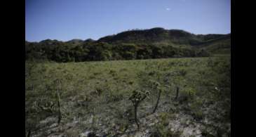 Desmatamento do Cerrado cresce 3% em um ano; área atinge 11 mil km²