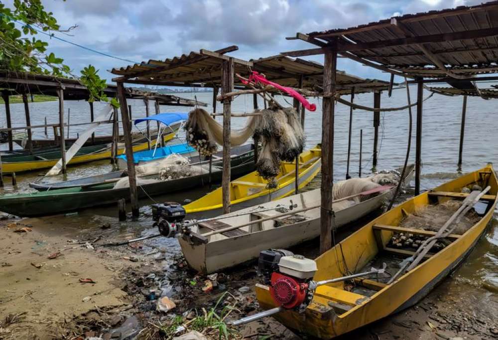 Peixe na água e rede vazia: desastre da Braskem atinge pescadores