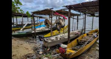 Peixe na água e rede vazia: desastre da Braskem atinge pescadores