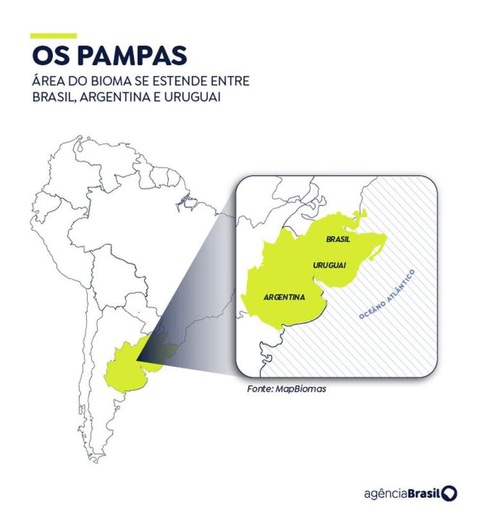 Pampa Sul-Americano perdeu 20% de vegetação campestre, diz MapBiomas