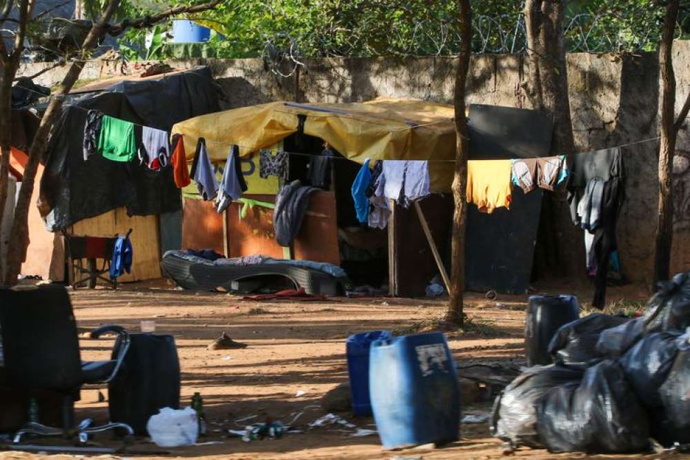 Reorganização do Bolsa Família é prioridade do Desenvolvimento Social