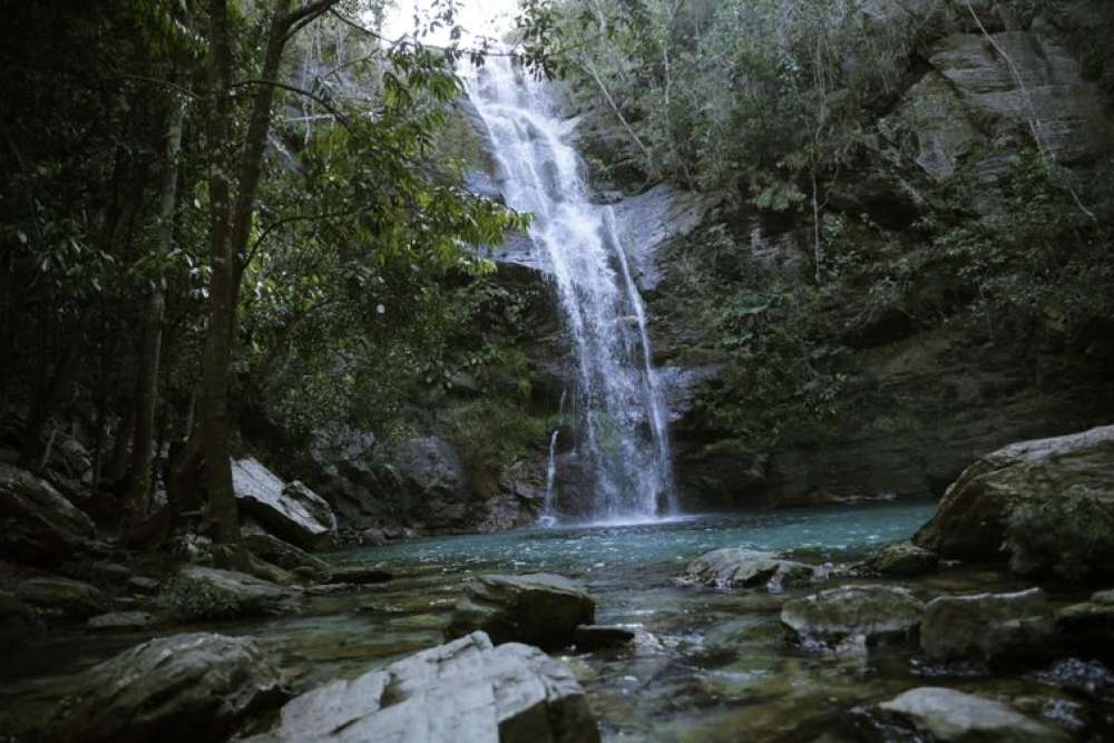 Governo relança Quilombo das Américas com foco ambiental