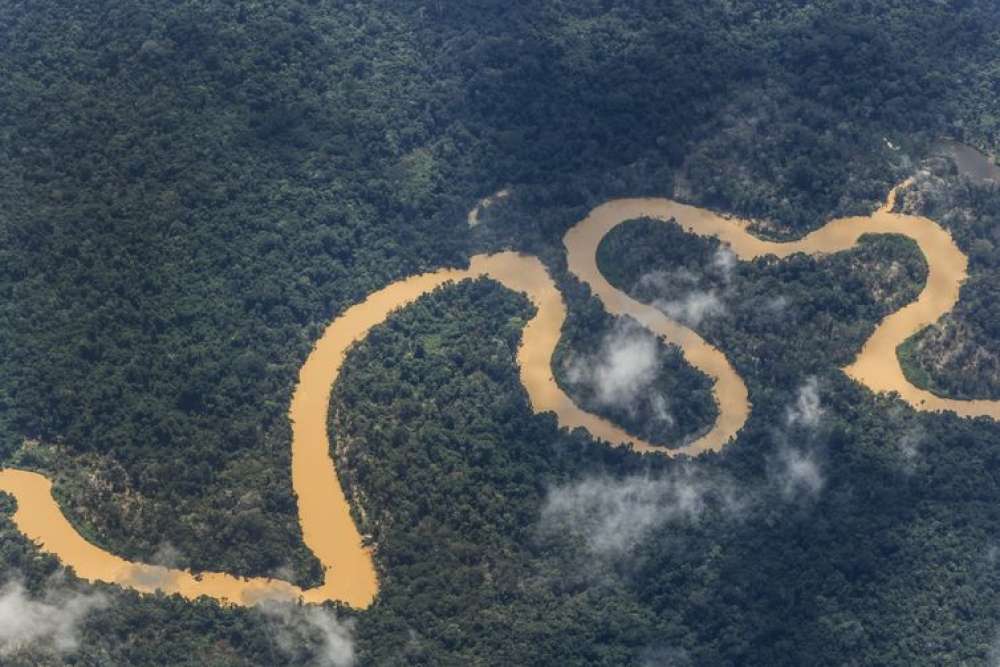 Noruega anuncia mais R$ 245 milhões para o Fundo Amazônia