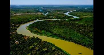 BNDES e Petrobras investem na conservação do Cerrado e do Pantanal