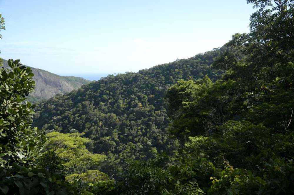 Meio ambiente: transição para economia de baixo carbono é prioridade