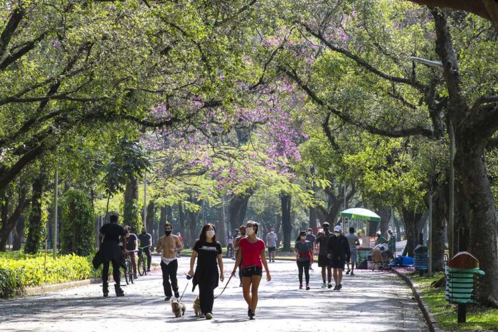 Turismo em São Paulo retoma patamar pré-pandemia