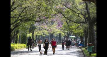 Turismo em São Paulo retoma patamar pré-pandemia