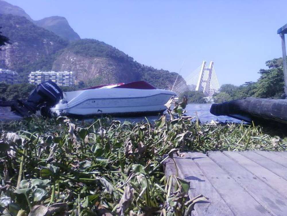 Comlurb retira 280 toneladas de gigogas da praia da Barra da Tijuca  