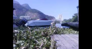 Comlurb retira 280 toneladas de gigogas da praia da Barra da Tijuca  