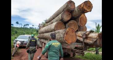 Ibama: Grupo vai fiscalizar fraudes em sistemas de controle florestal