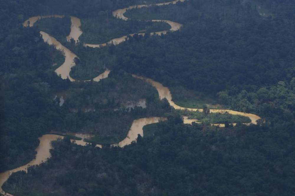 Governo do Pará assina decreto para combater garimpo e desmatamento