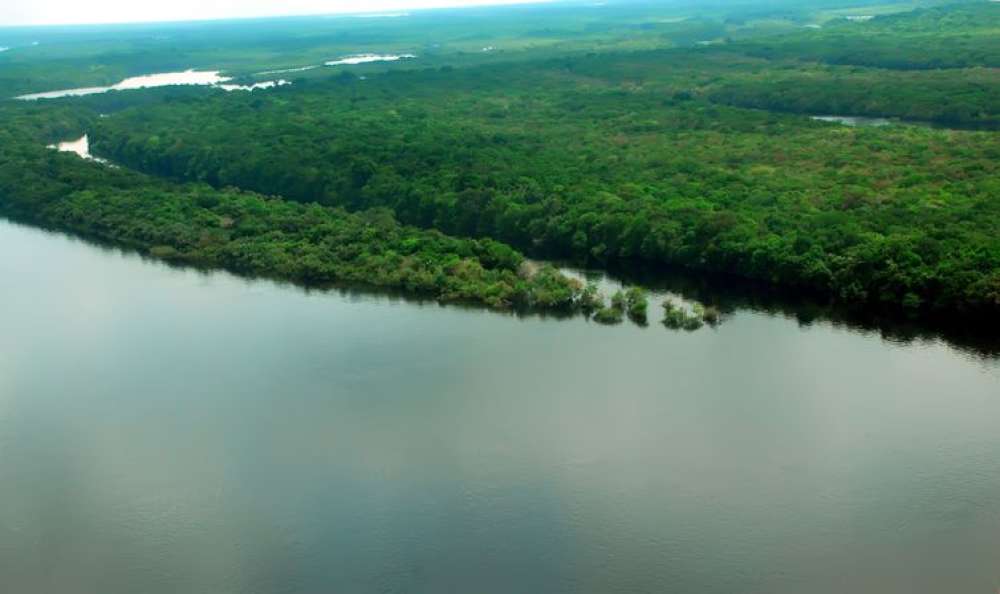 Amazônia Legal: alertas de desmatamento caem 61% em janeiro