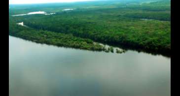 Amazônia Legal: alertas de desmatamento caem 61% em janeiro