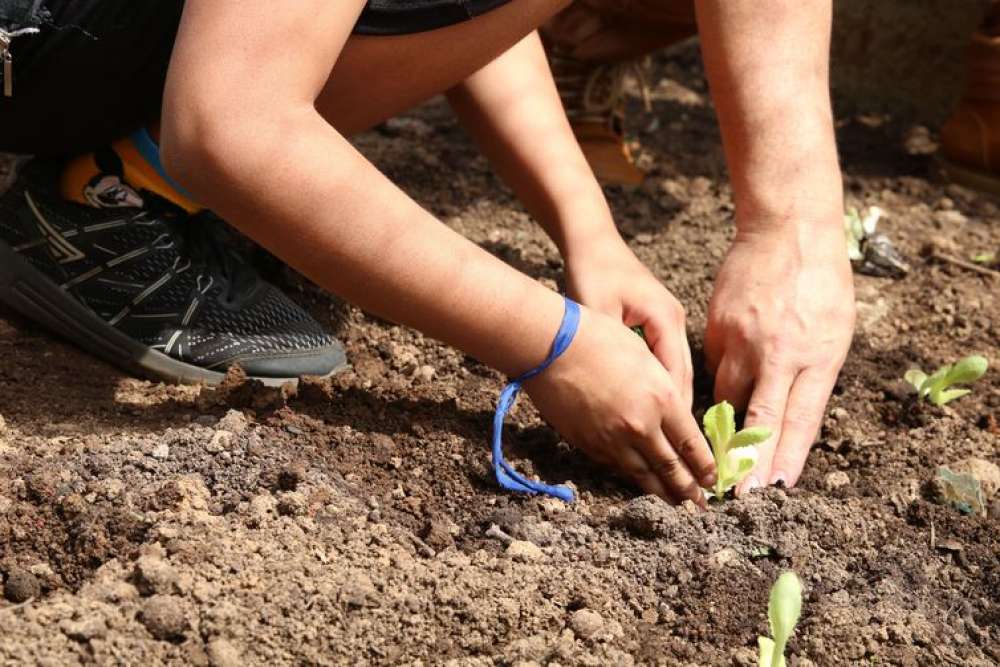 Curso orienta educadores sobre como levar a natureza para as escolas