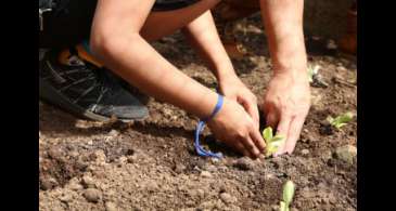 Curso orienta educadores sobre como levar a natureza para as escolas