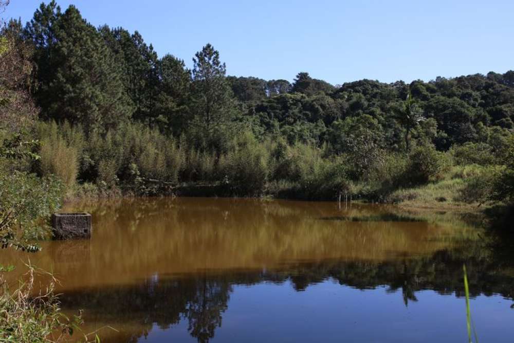 Brasil ganha 1,7 milhão de hectares de superfície de água em 2022