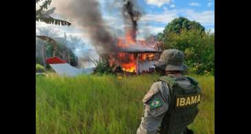 STF rejeita lei de Roraima que proíbe destruição bens apreendidos