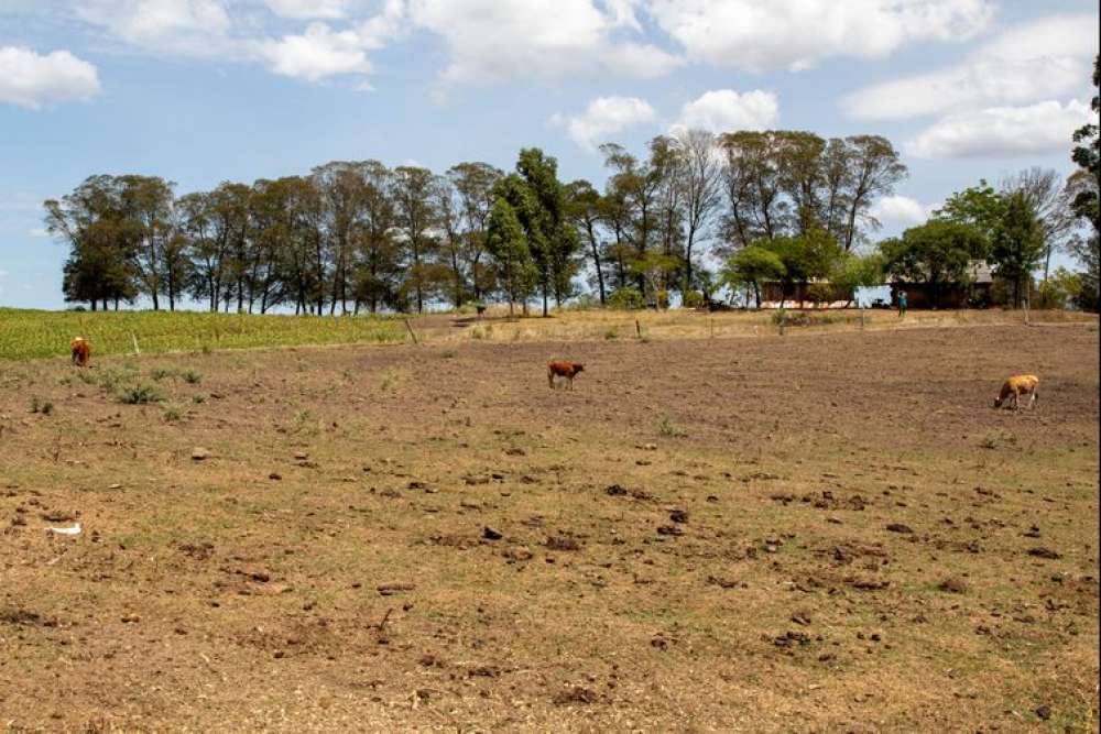 Cidades gaúchas vão receber mais R$ 701 mil para combater seca