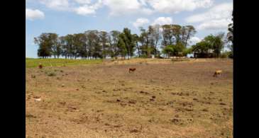 Cidades gaúchas vão receber mais R$ 701 mil para combater seca