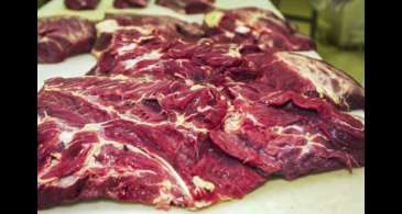 Brasil poderá exportar carne bovina para o México