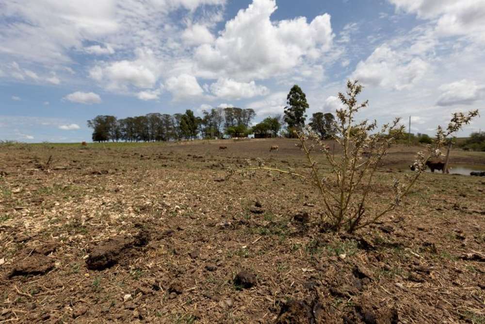 Com seca, 12 cidades gaúchas vão receber socorro de R$ 2,2 milhões