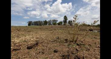 Com seca, 12 cidades gaúchas vão receber socorro de R$ 2,2 milhões