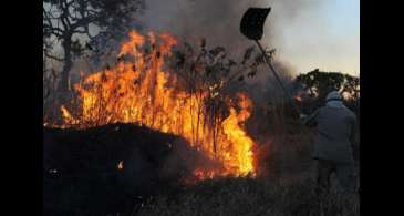 Amazônia concentra 90% da área com focos de incêndio no 1º bimestre