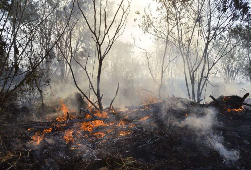 Em dois meses, fogo na Terra Indígena Yanomami cai 62%