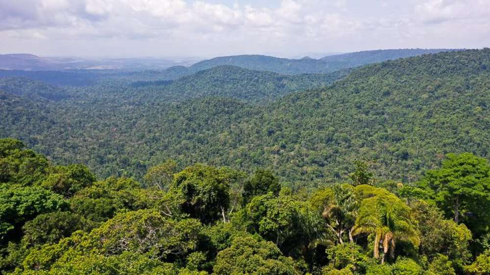 Amazônia: redução da pobreza e do desmatamento podem coexistir