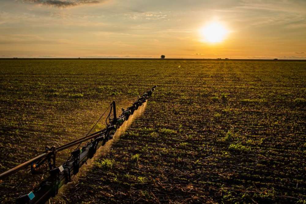 Embrapa promove orientações sobre uso eficiente de fertilizantes