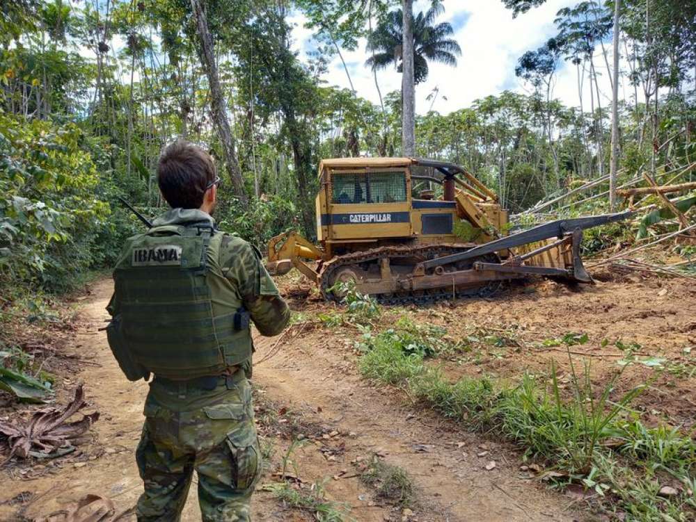 Governo prevê mais seis operações de desintrusão em terras indígenas