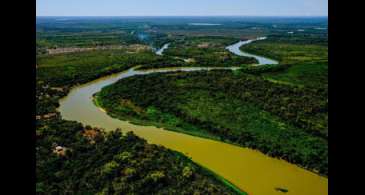 Projeto poderá ampliar proteção ao Pantanal