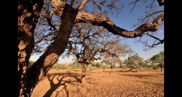 Ambientalistas denunciam degradação dos recursos hídricos do Cerrado