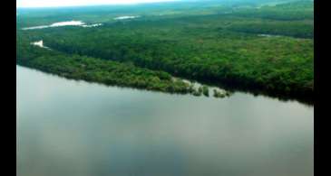 STF forma maioria para obrigar governo a reativar Fundo Amazônia