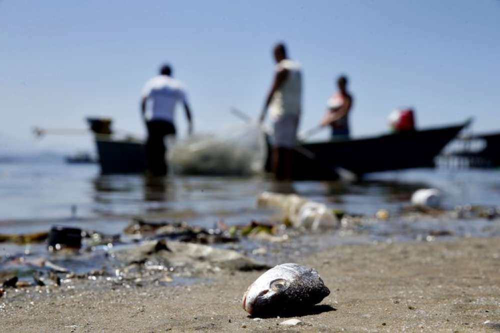 Baía de Guanabara tem neste sábado um dia de limpeza