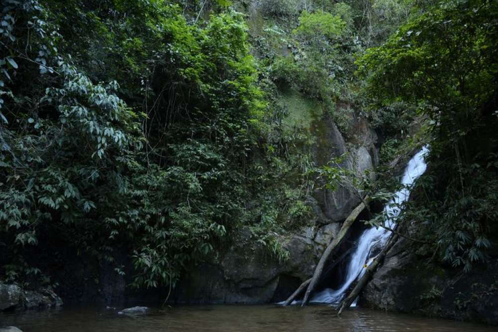 Mata Atlântica tem água de boa qualidade em 6,9% dos rios