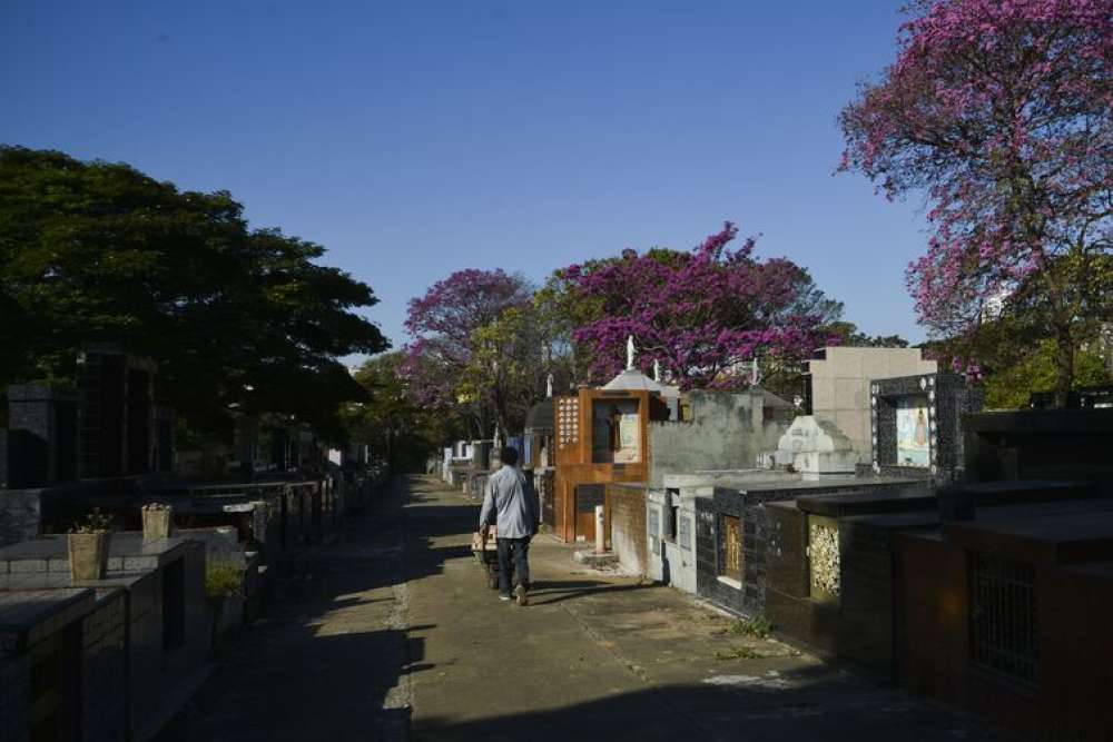 Irregularidades na concessão do serviço funerário serão alvo do TCMSP