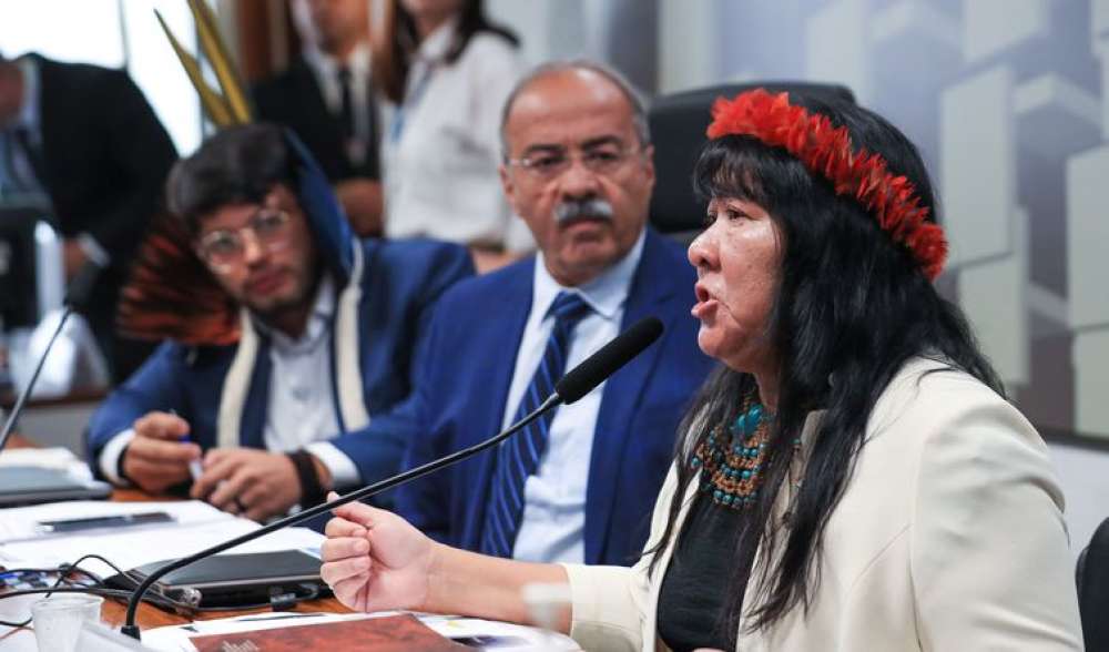 Presidenta da Funai elege medidas urgentes para terra Yanomami