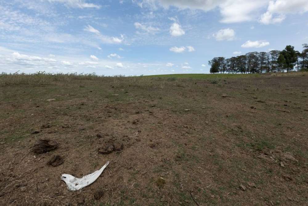 Governo lança plataforma para identificar vulnerabilidades climáticas