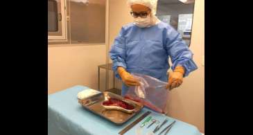 Pesquisa desenvolve curativos biológicos à base de placenta