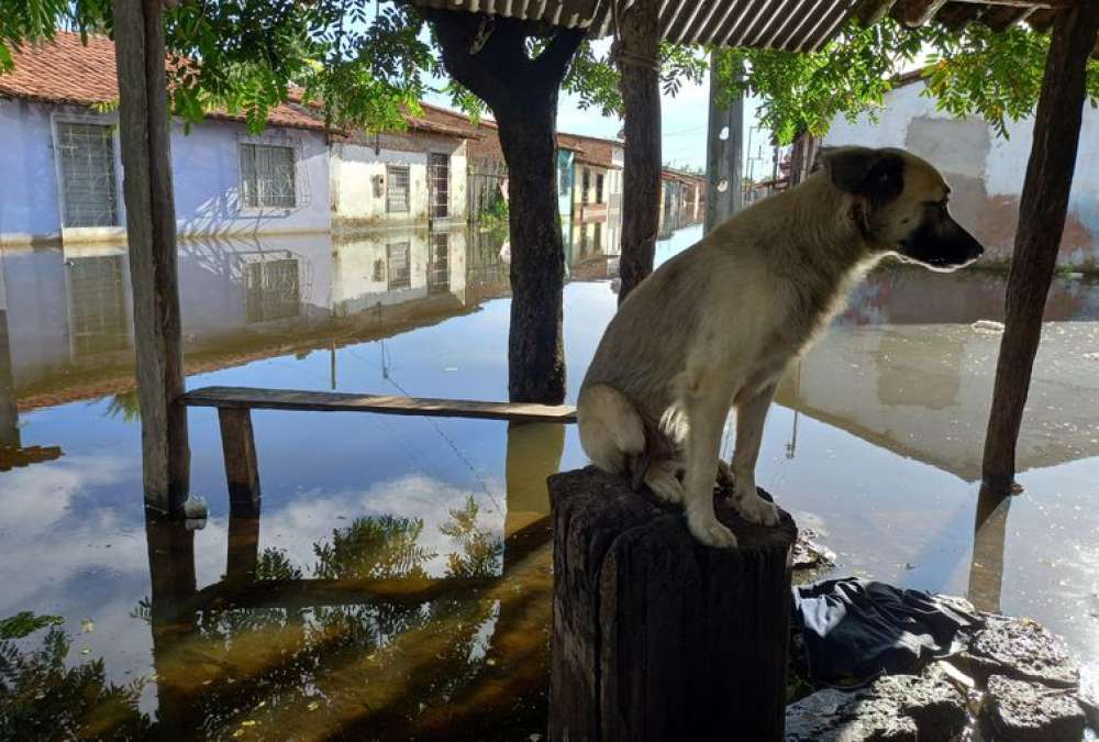 Rompimento de barragem alaga 23 casas e deixa 32 desalojados no Ceará